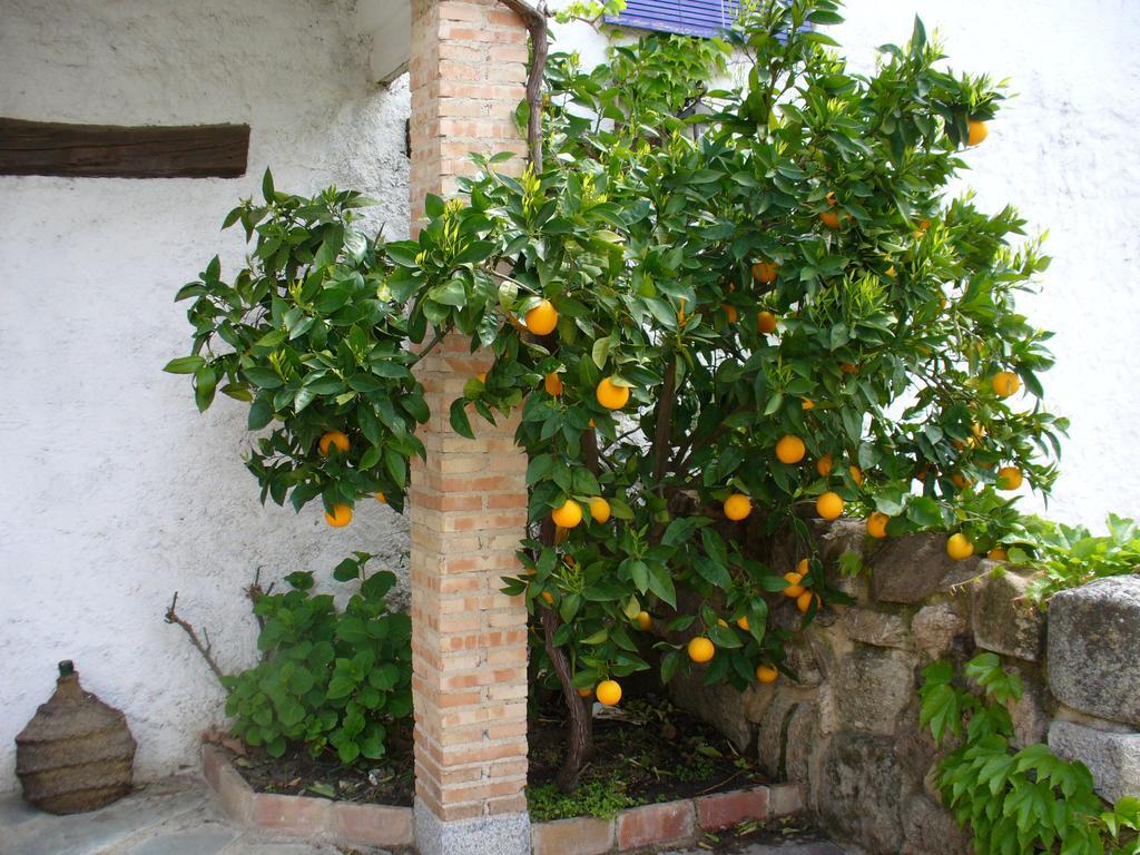 San Martín de Valdeiglesias Hotel Labranza المظهر الخارجي الصورة